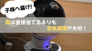 アガベの子株へ風を送ろう!当て方・強さの前に空気循環が大切!【初心者向け・室内育成編】