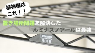 多肉植物が増えても安心!置き場所問題を解決した植物棚とは?!